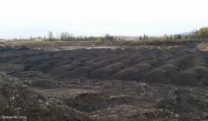 Coal Ash dumping 